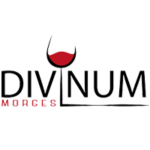 logo_divinum