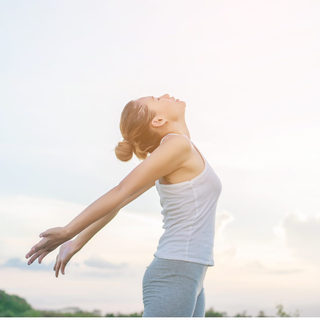 Plan de travail 3 copie 2