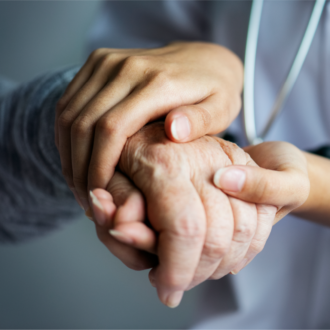 Plan de travail 3 copie