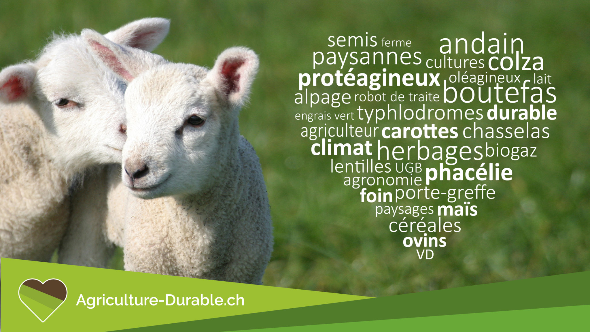 25_DTR_00_AgricultureDurable_ecran_LFM_chroniques_1920x1080px Chronique agricole